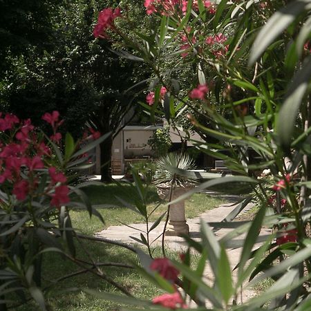 مازامي Residence Midi المظهر الخارجي الصورة