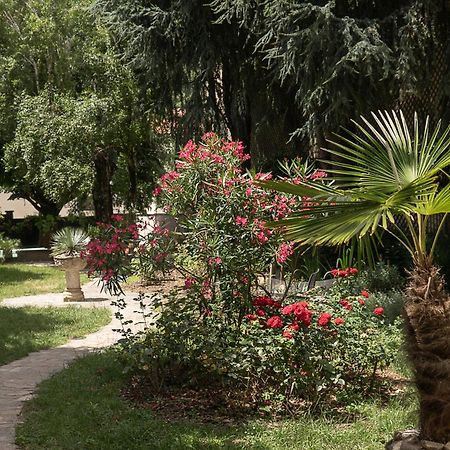 مازامي Residence Midi المظهر الخارجي الصورة